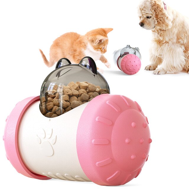 Food-Dispensing Swing Car Pet Toy