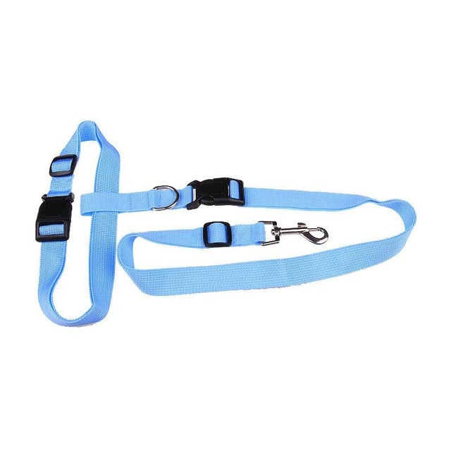Adjustable Bungee Dog Running Leash