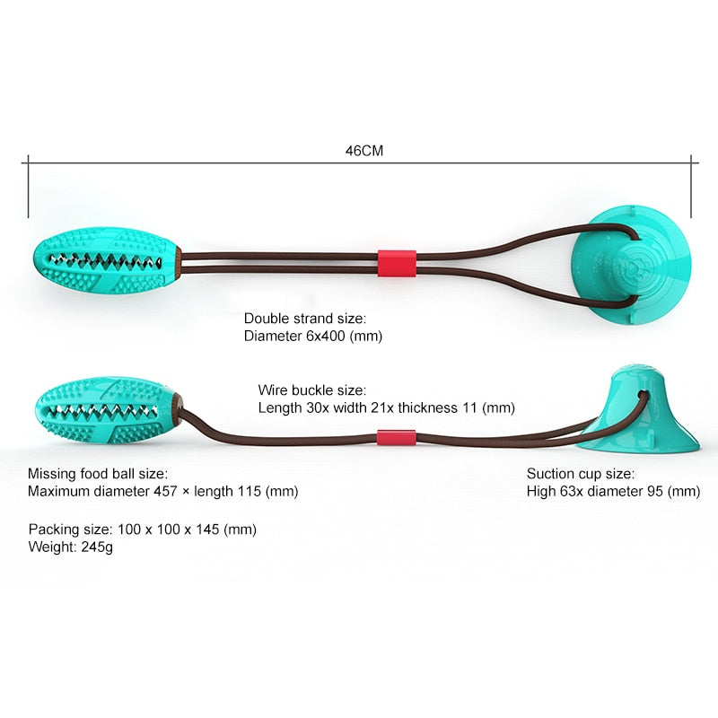 Rubber Molar Bite Toy with Suction Cup
