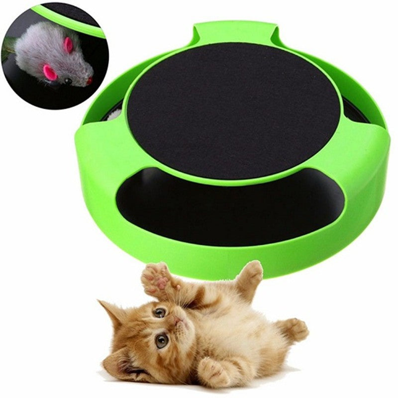 Interactive Cat Teaser Toy