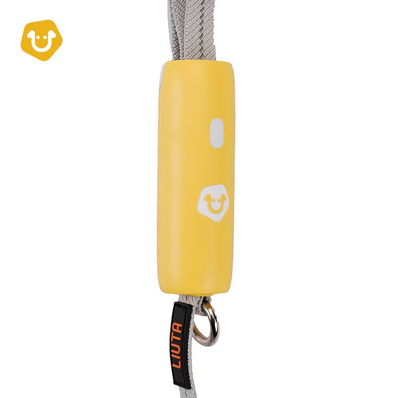 Reflective Bungee Dog Leash with Strap