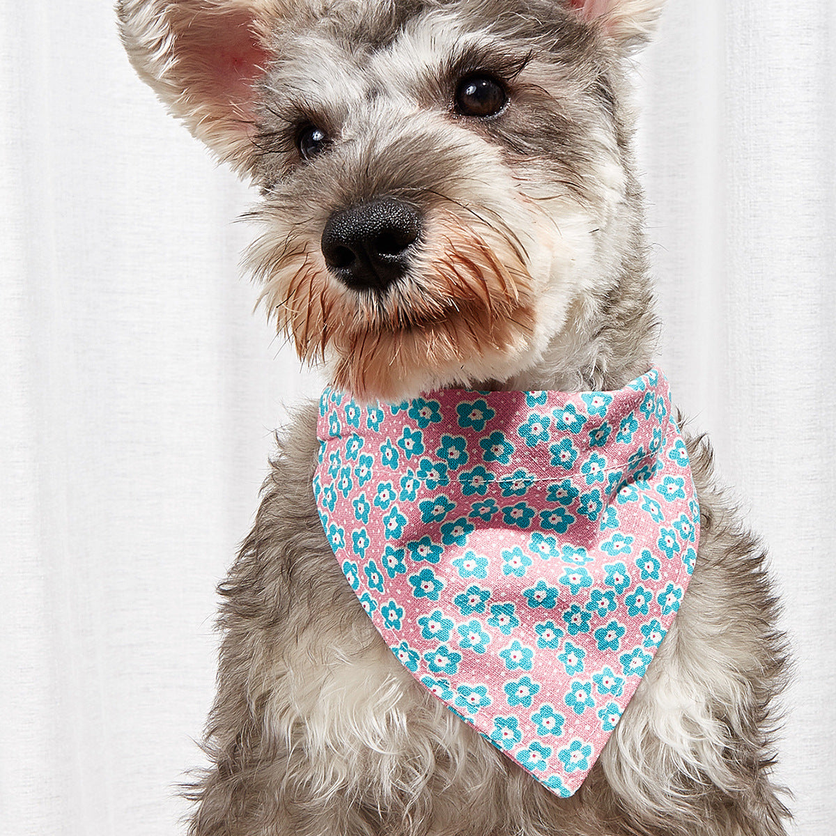 Cartoon Cotton Triangle Pet Bandana
