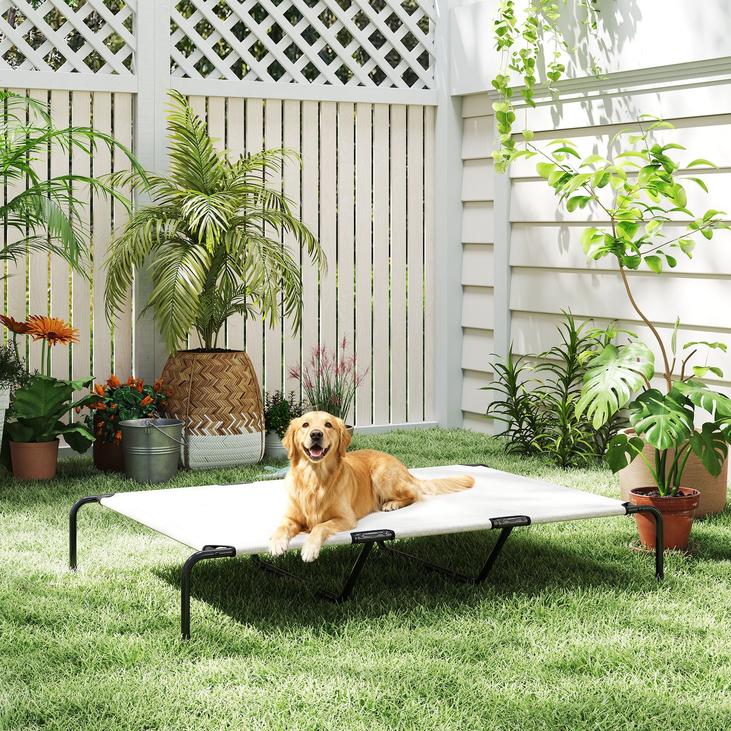 Large breed elevated dog bed dimensions