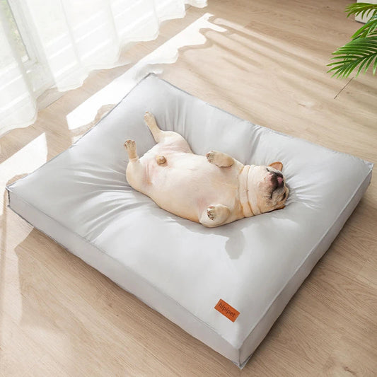 Orthopedic memory foam dog bed