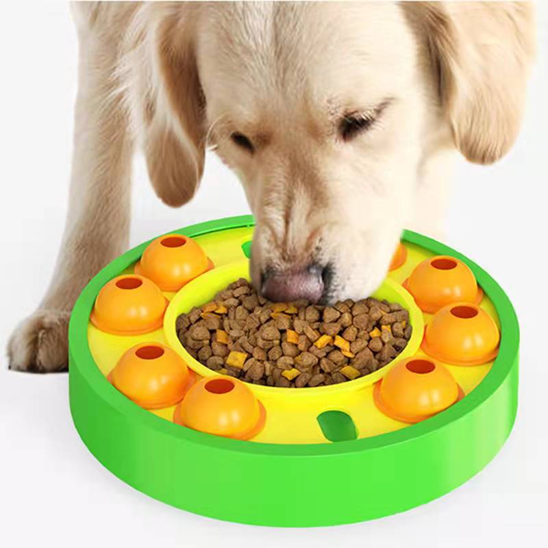 Spinning IQ Puzzle Slow Feeder Bowl