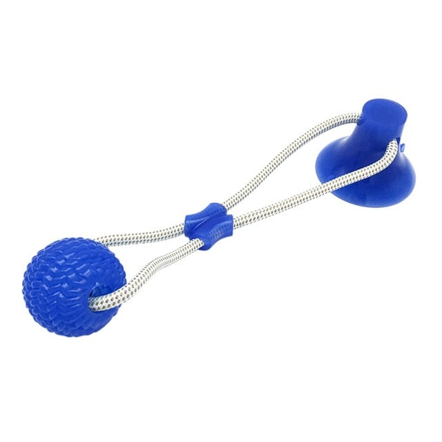 Suction Cup Molar Dog Chew Toy