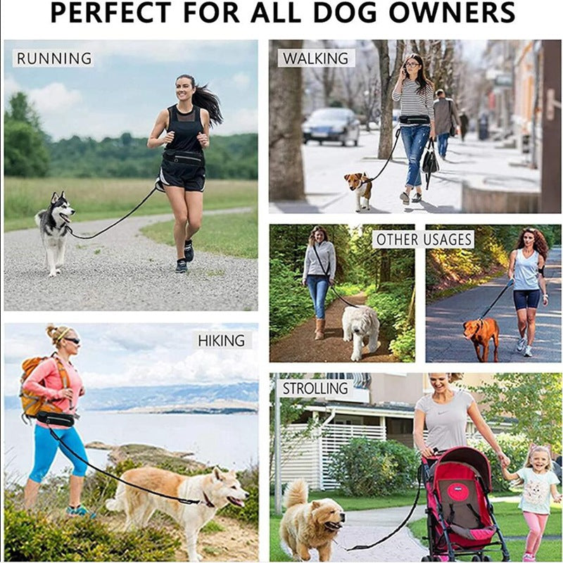 Bungee dog waist leash showing phone pocket and water bottle holder