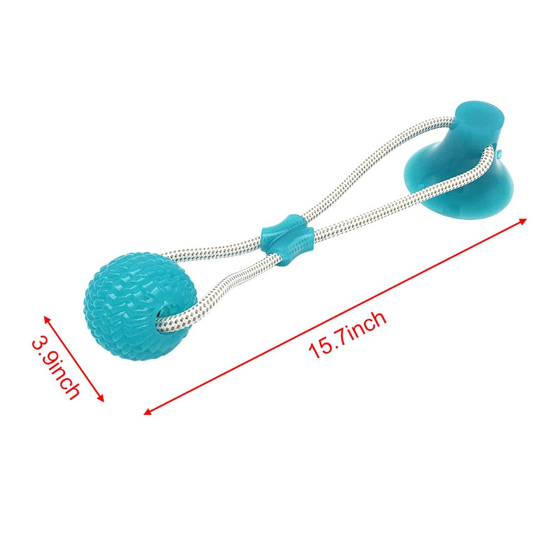 Suction Cup Molar Dog Chew Toy