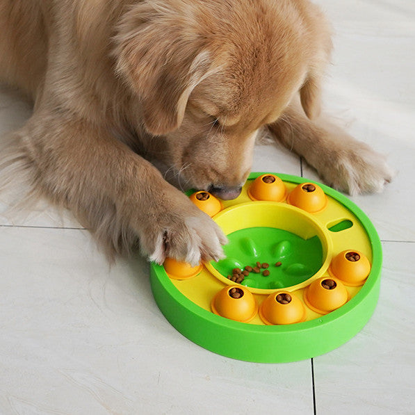 Spinning IQ Puzzle Slow Feeder Bowl
