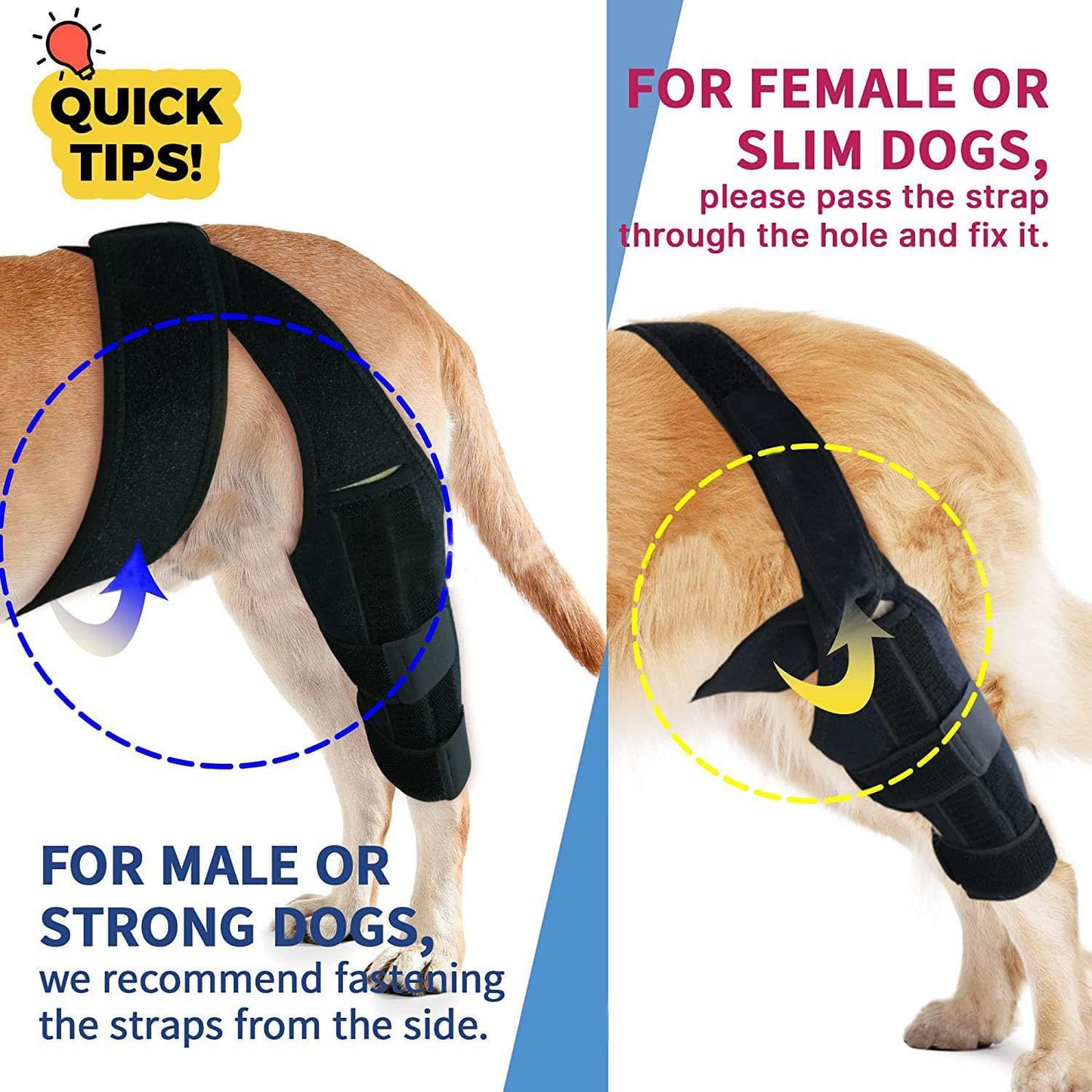 Dog Knee & Joint Support Brace