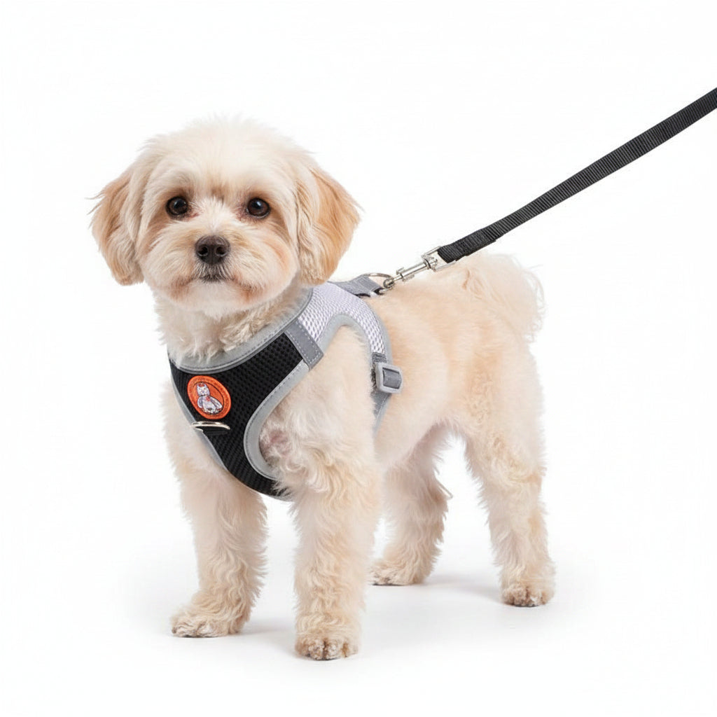 Reflective No-Pull Harness & Leash Set