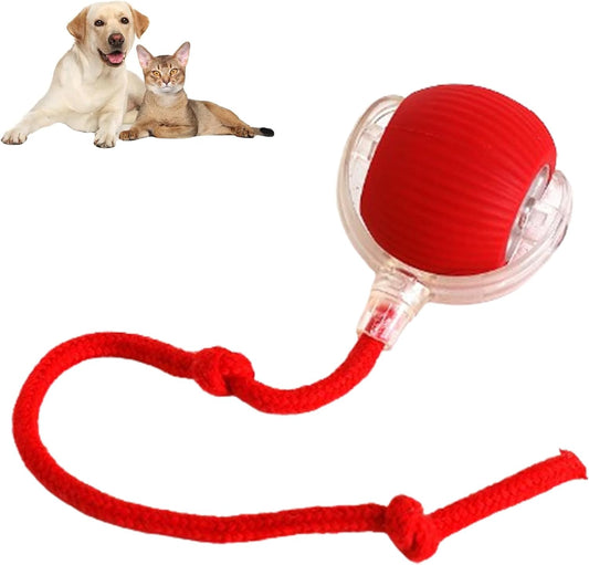 Lightweight chase and fetch rope ball toy for cats and dogs