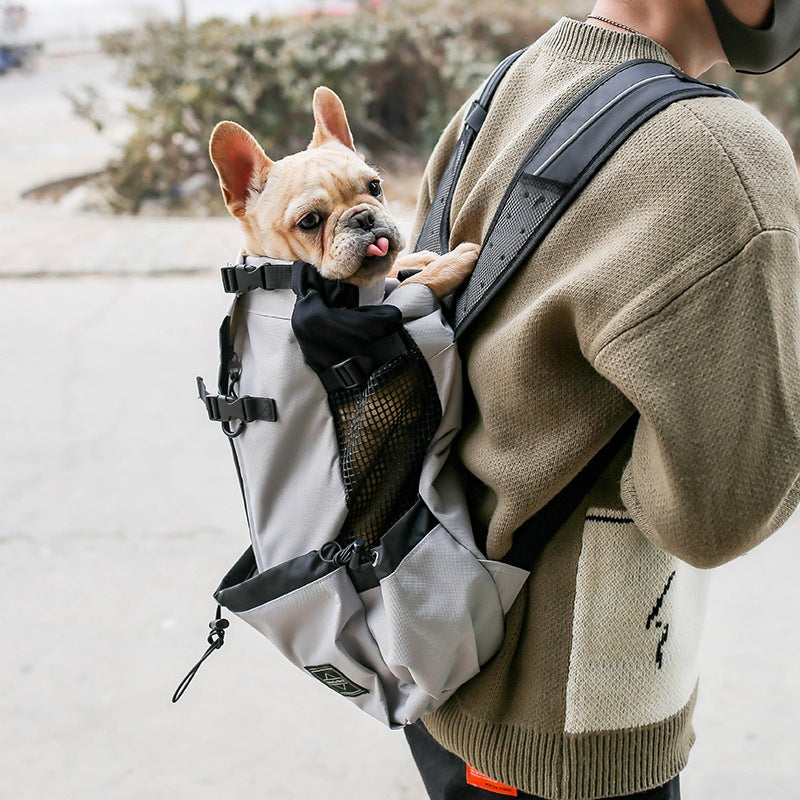Padded double-shoulder pet carrier travel backpack for cats and small dogs