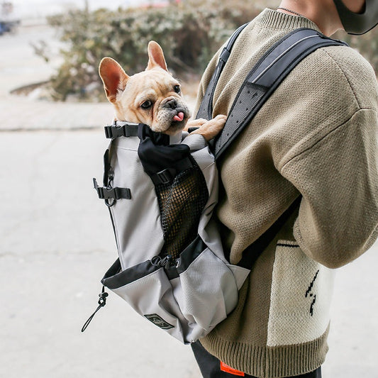 Padded double-shoulder pet carrier travel backpack for cats and small dogs