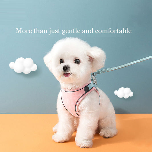 Vest-Style Cat and Dog Harness with Leash