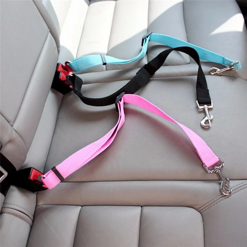 Dog secured in car using nylon seat belt safety clip