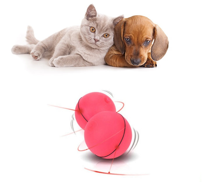 Rechargeable motorized cat ball toy keeping cats active