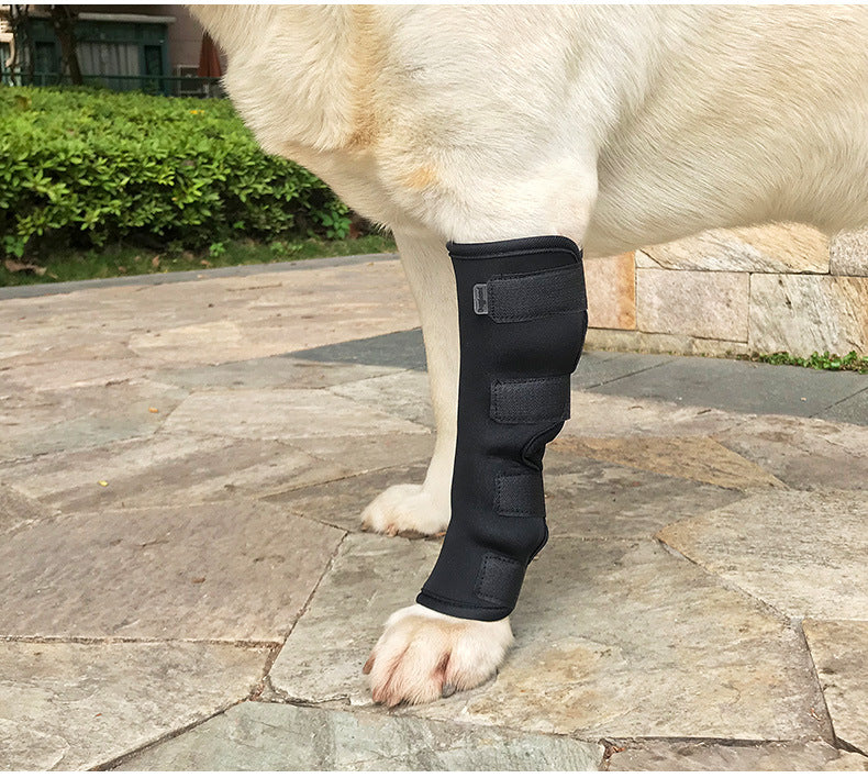 Neoprene Dog Hock & Leg Brace