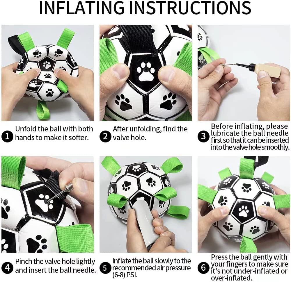 Border collie herding inflatable soccer ball