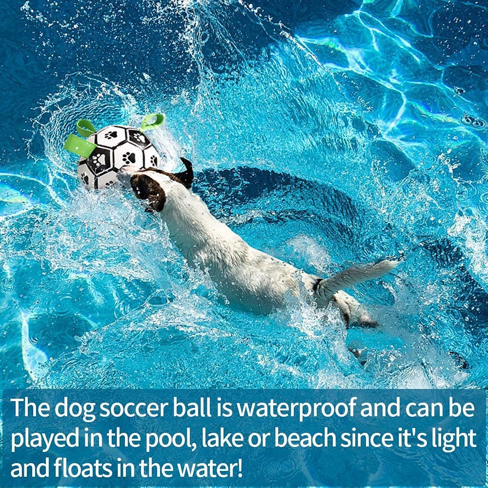 Inflatable Soccer Ball Dog Toy