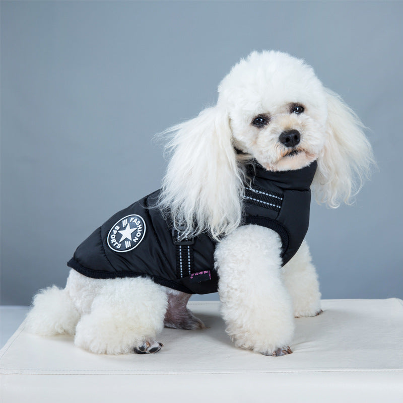 Dog wearing waterproof winter coat with harness ring on walk