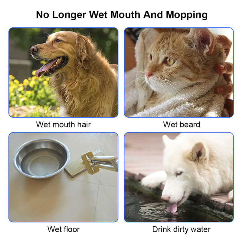 Anti-overflow pet water bowl showing raised edge design