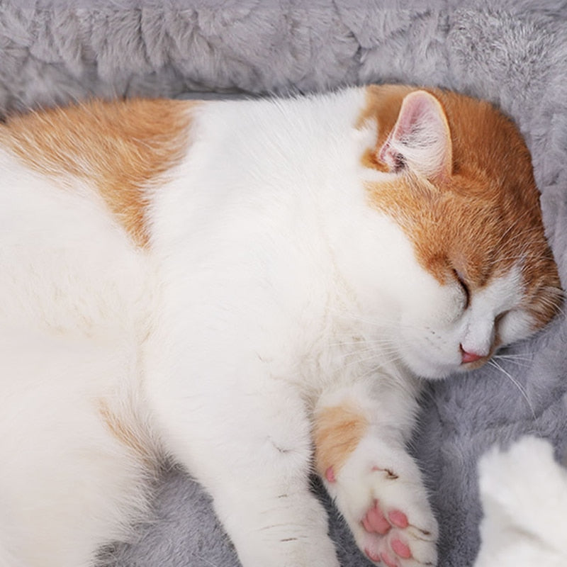 Soft Plush Cat Bed & House