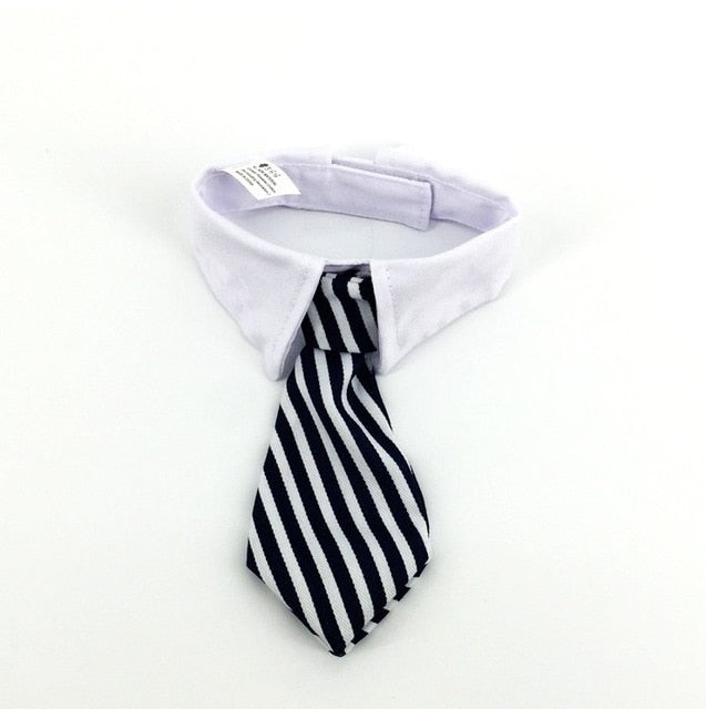 Cute Pet Bow Tie Set