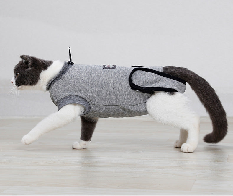 Cat Surgery Recovery Suit