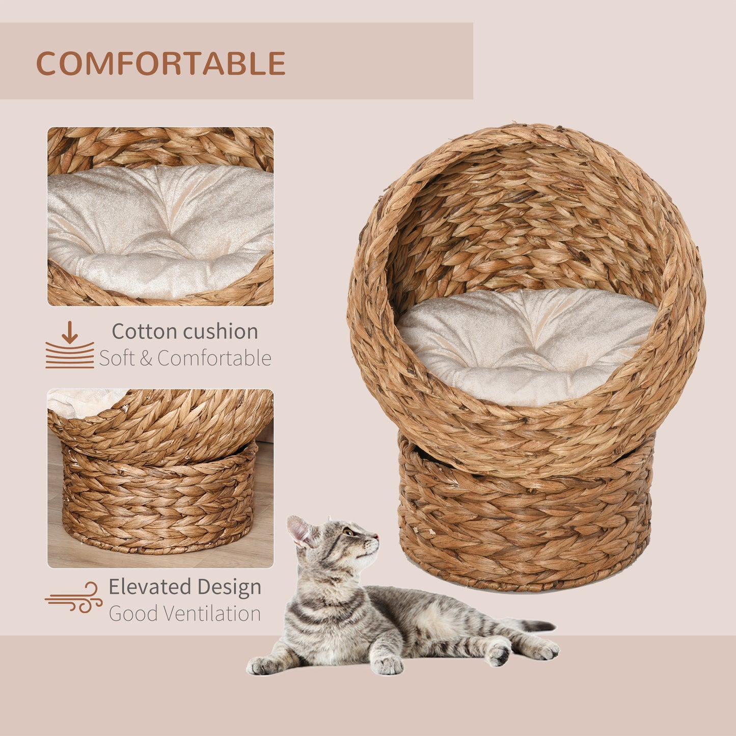 Cat resting in woven elevated bed