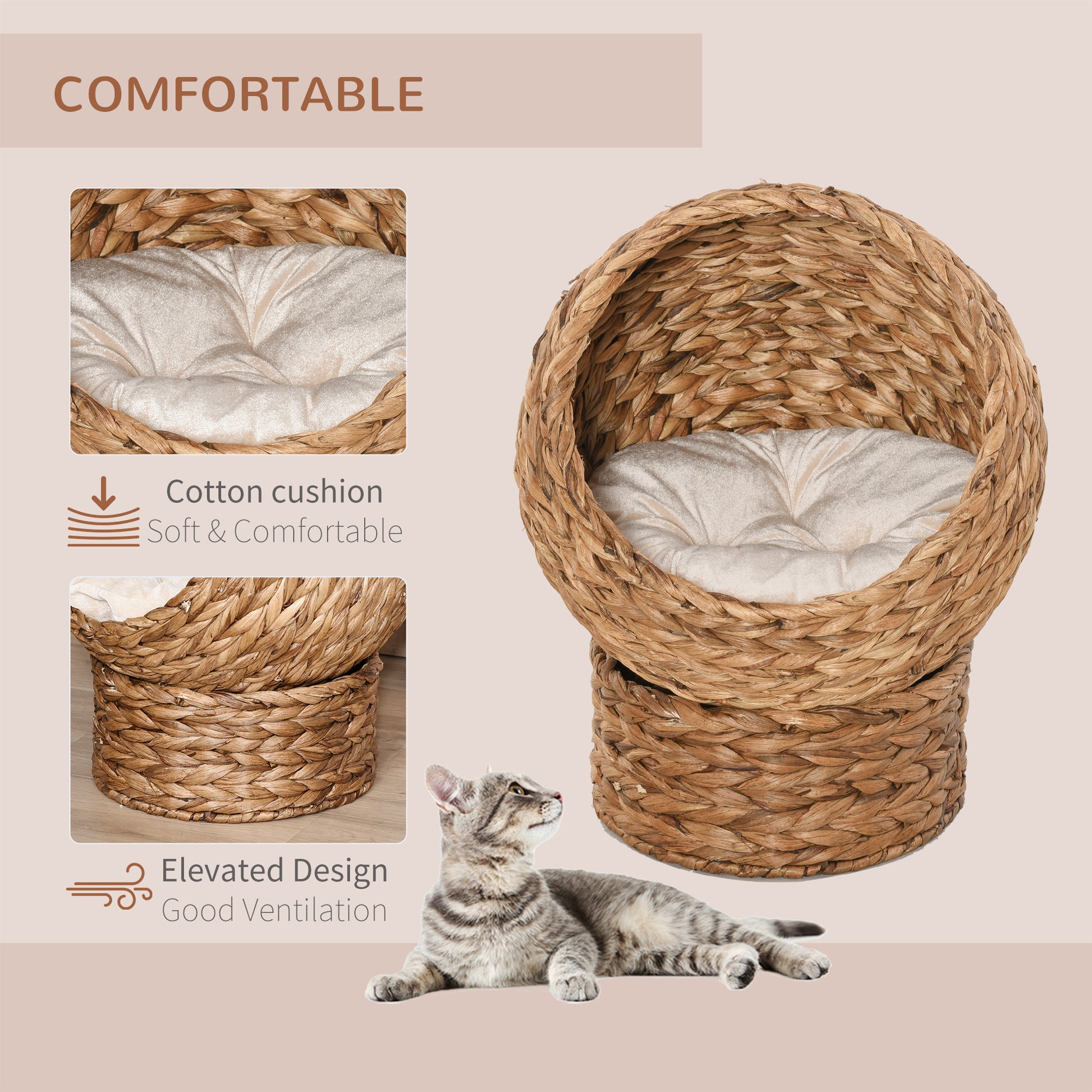 Cat resting in woven elevated bed