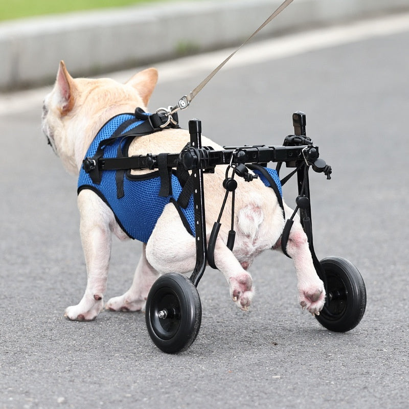 Give Your Dog Their Freedom Back Lightweight Aluminum Dog Wheelchair Scooter
