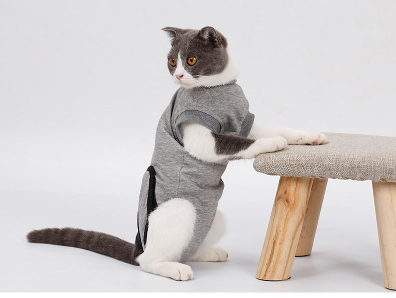 Cat Surgery Recovery Suit