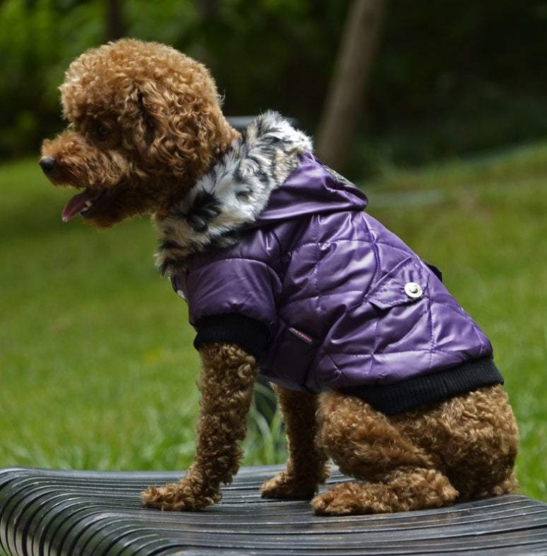 Fur Collar Fleece Dog Coat