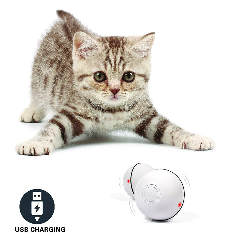 Rechargeable LED Laser Rolling Cat Ball