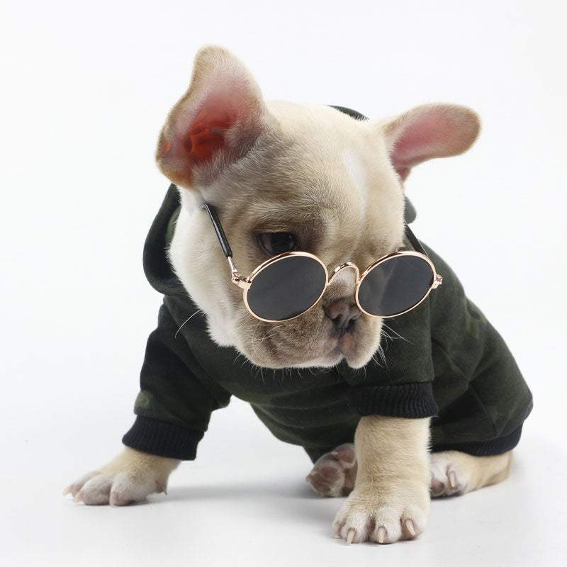 Fun Pet Sunglasses & Eyewear