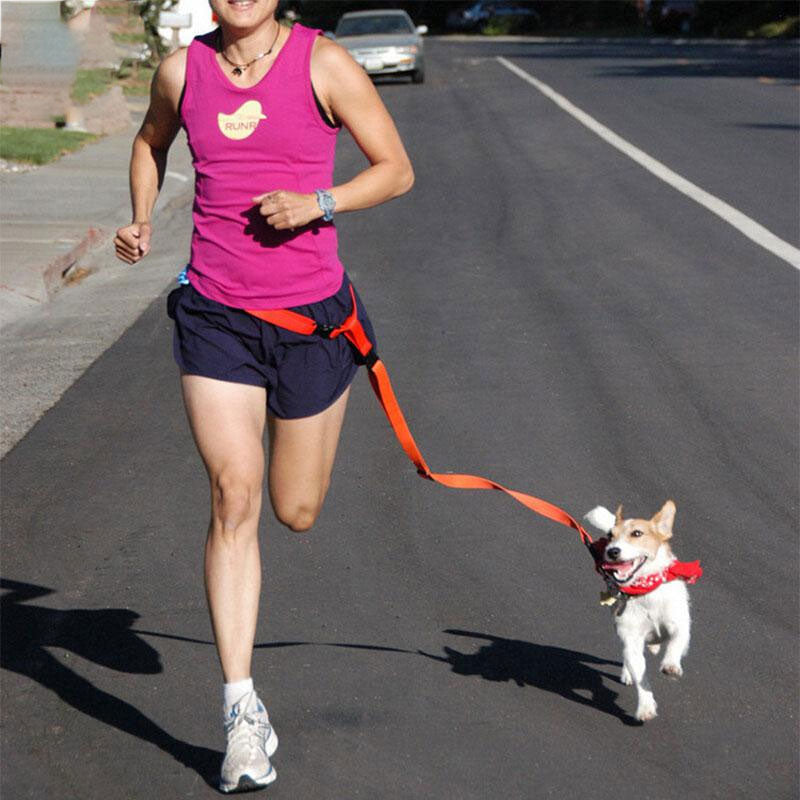 Adjustable Nylon Traction Bungee Leash for Dog Running and Jogging