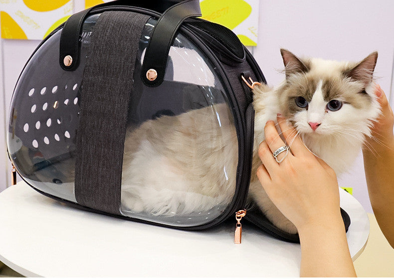 Transparent Double Window Pet Carrier Backpack