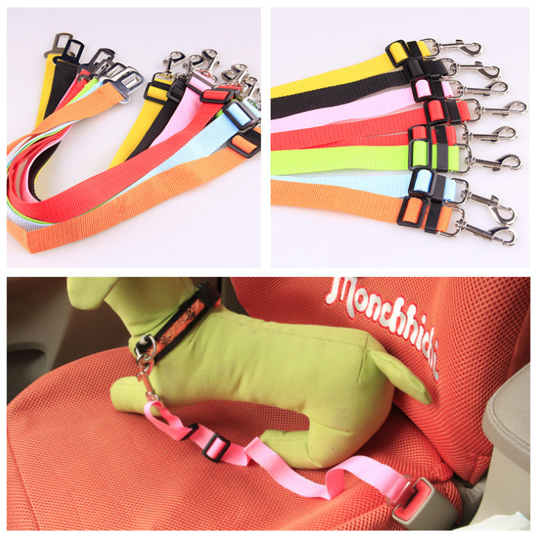 Dog restrained safely in car using nylon seat belt clip leash