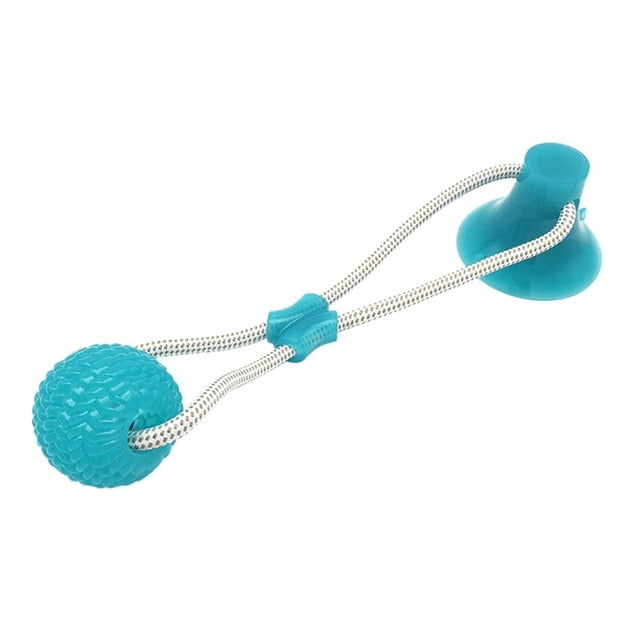 Suction Cup Molar Dog Chew Toy
