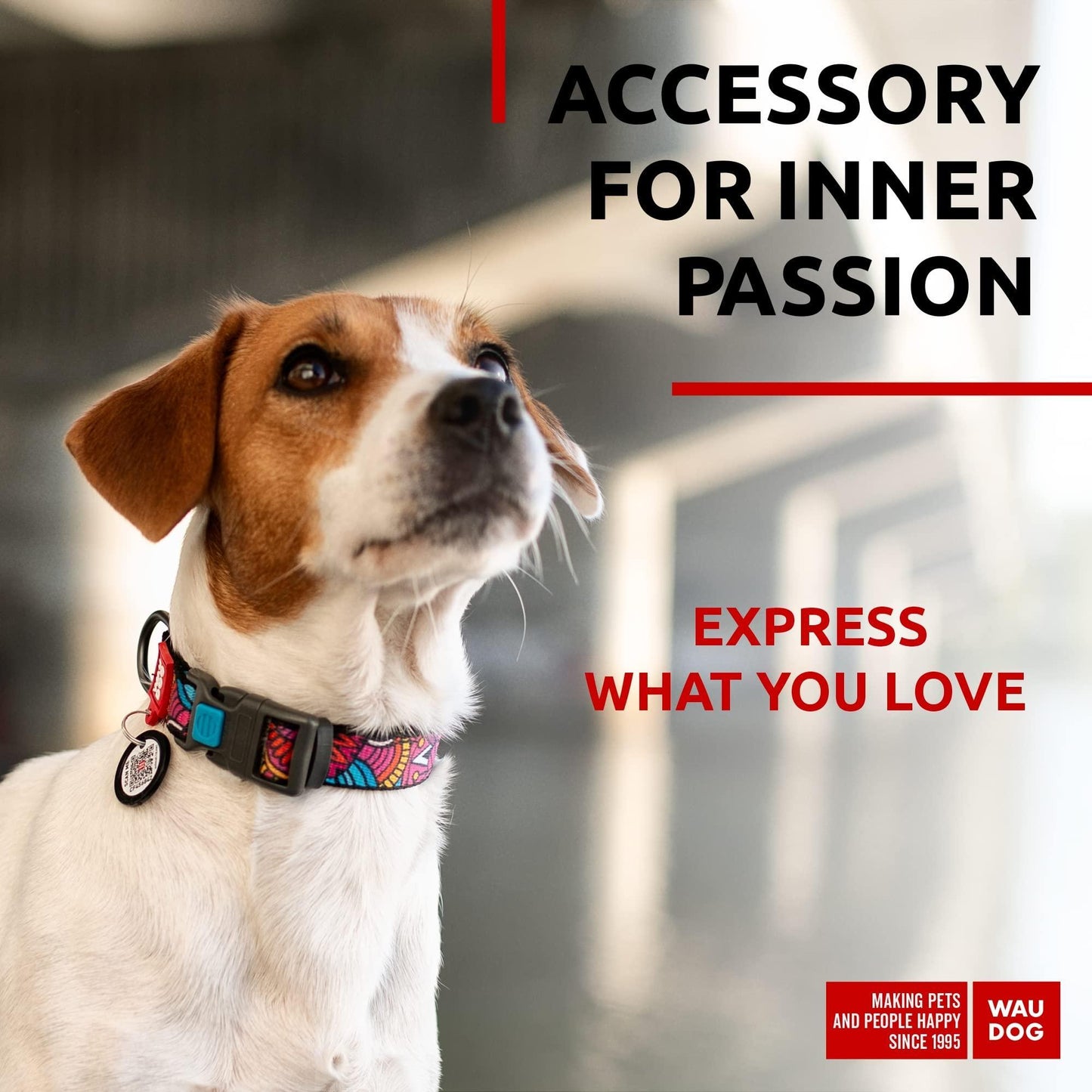 Adjustable Nylon Dog Collar with QR ID Tag