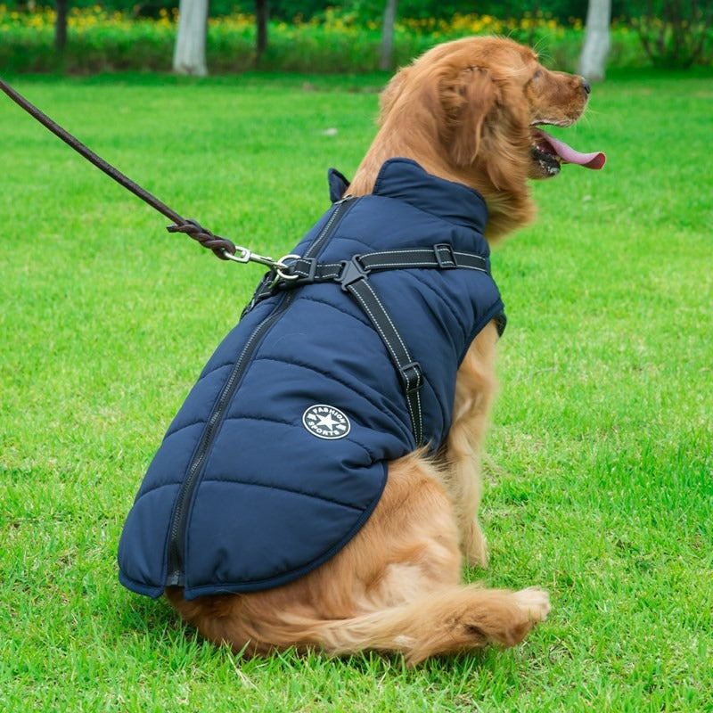 Thickened Waterproof Big Dog Raincoat