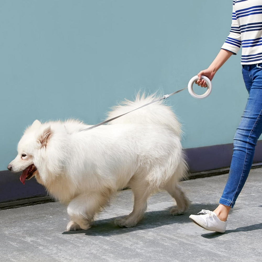 HIghTech Premium Smart LED Retractable Dog Leash