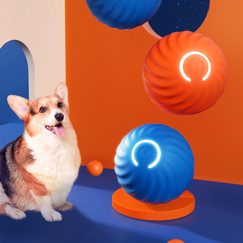 Food-grade rubber dog ball showing bouncy durable material