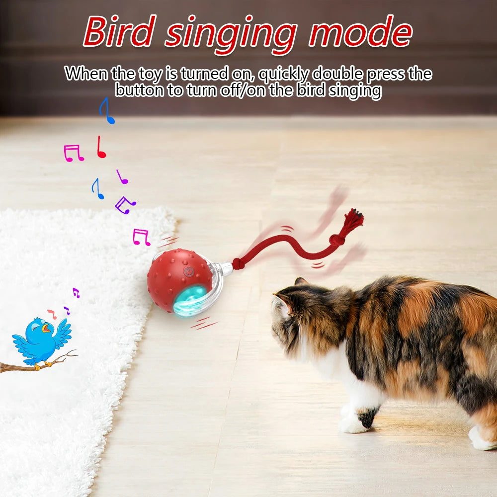 Motion-Activated Chirping Cat Ball Toy
