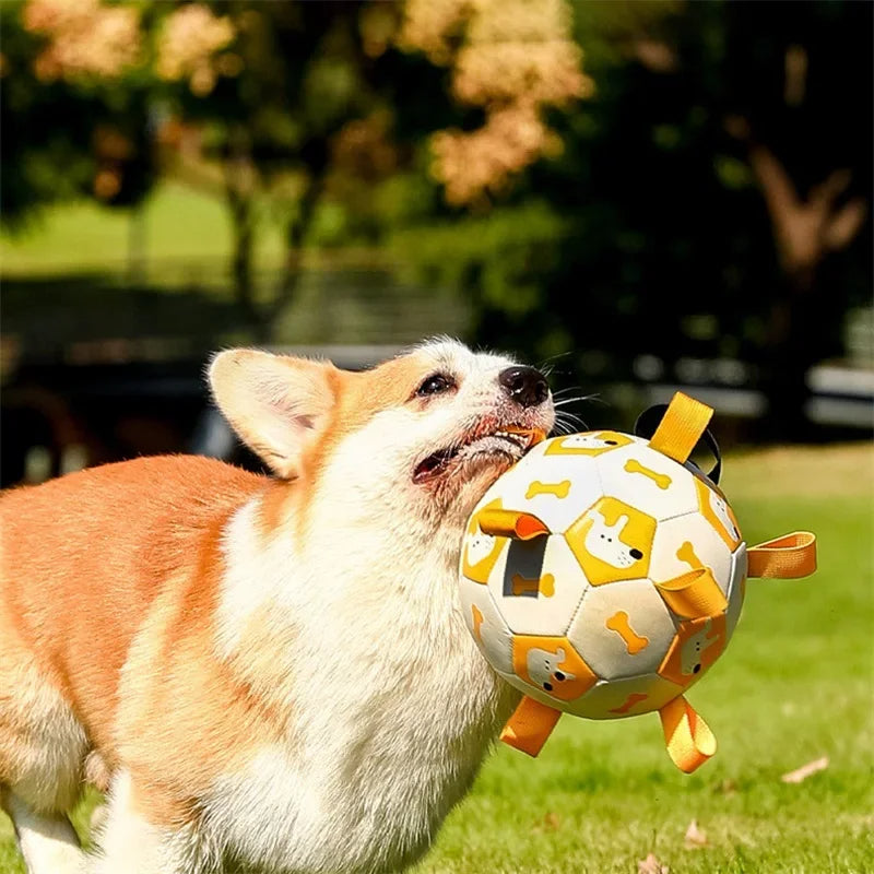 Soccer Football Dog Chew Toy