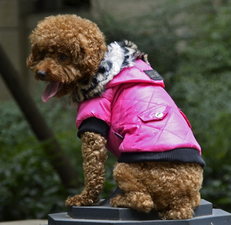 Fur Collar Fleece Dog Coat