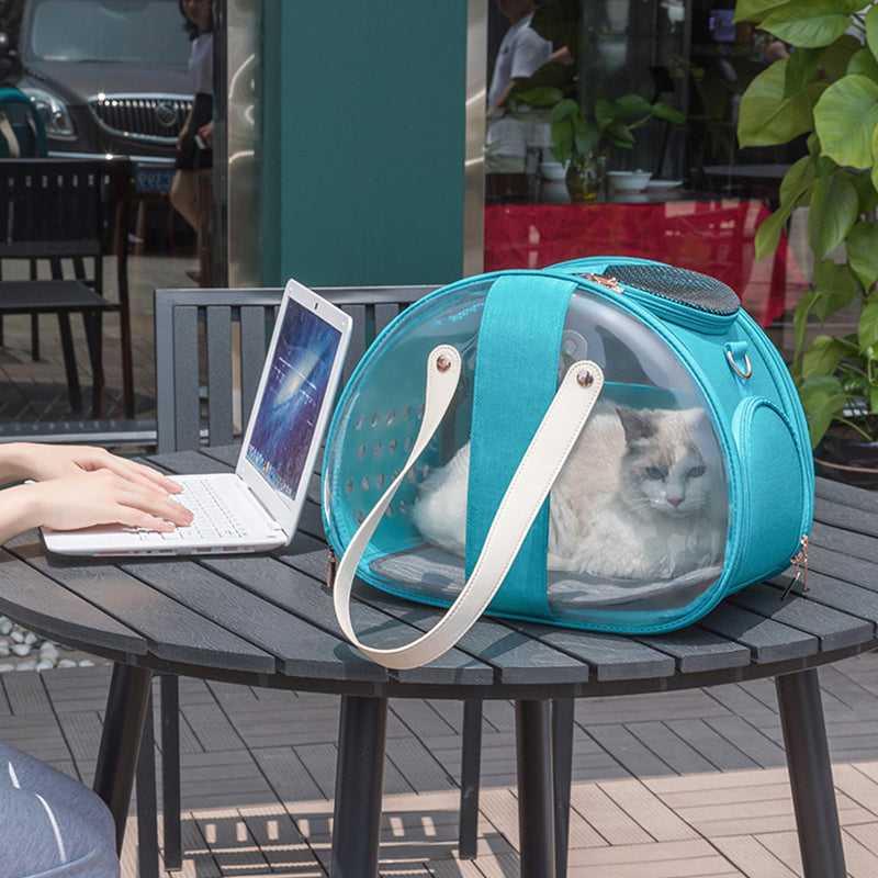 Transparent Double Window Pet Carrier Backpack