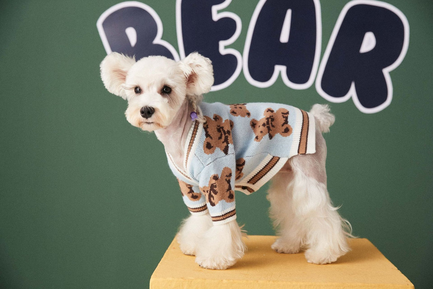 V-Neck Striped Pet Sweater Vest