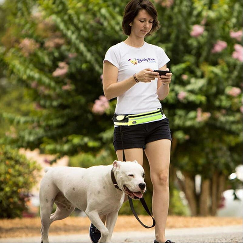 Hands-free dog running leash with shock-absorbing bungee cord